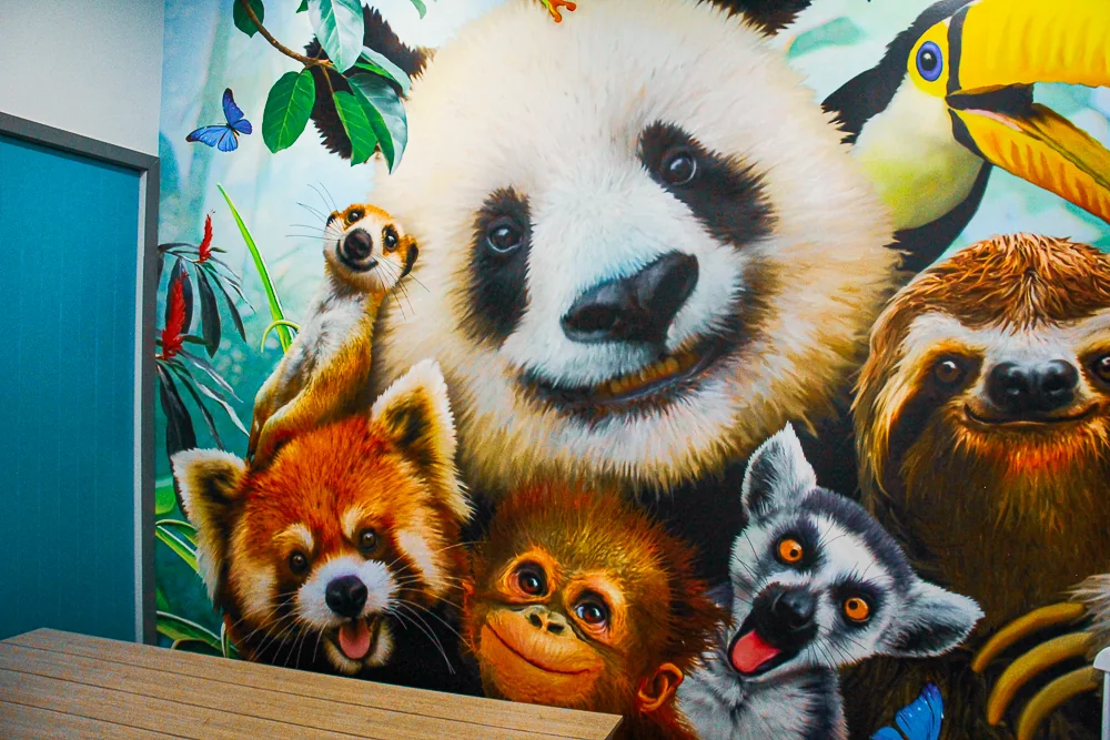 Animal mural at Gum Drops Café